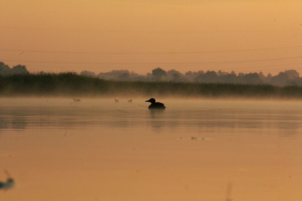 Photograph by Владислав Афанасьев