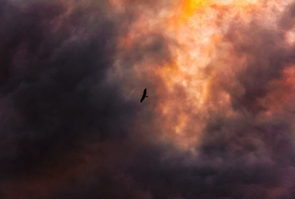 Photograph by Владислав Афанасьев