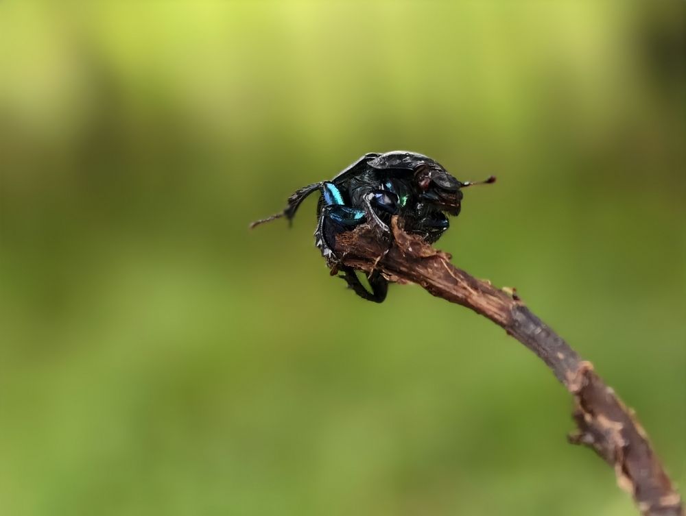 Photograph by Евгений Аксененко
