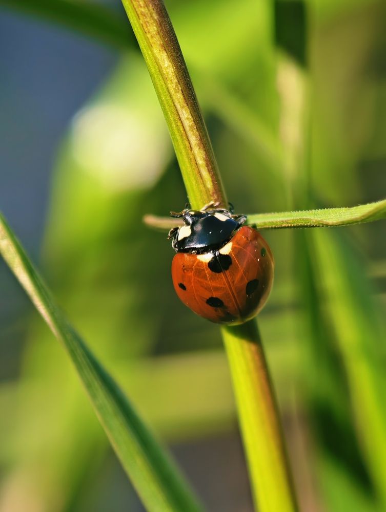 Photograph by Евгений Аксененко