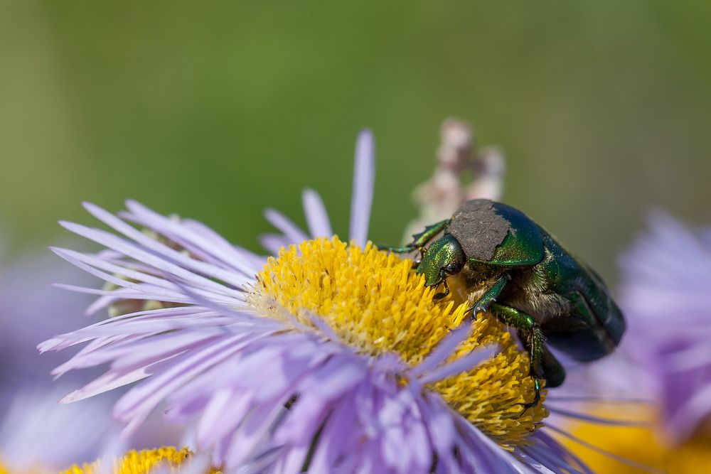 Photograph by Сергей Молоков