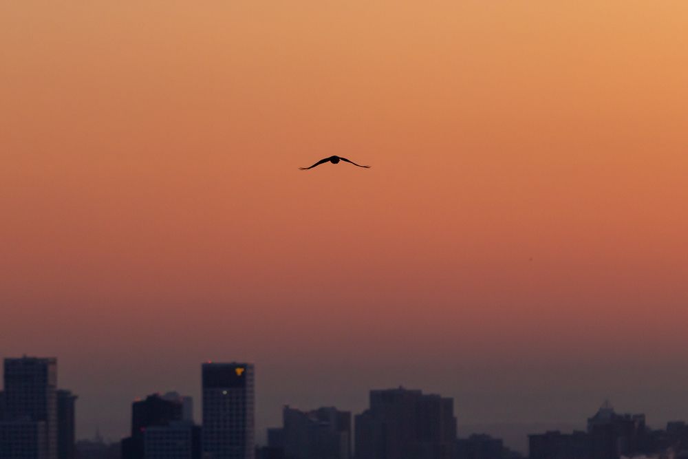 Photograph by Марсель Галимов
