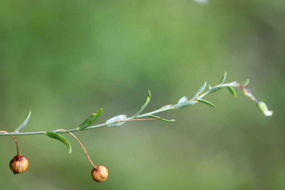 Photograph by Екатерина Александровна