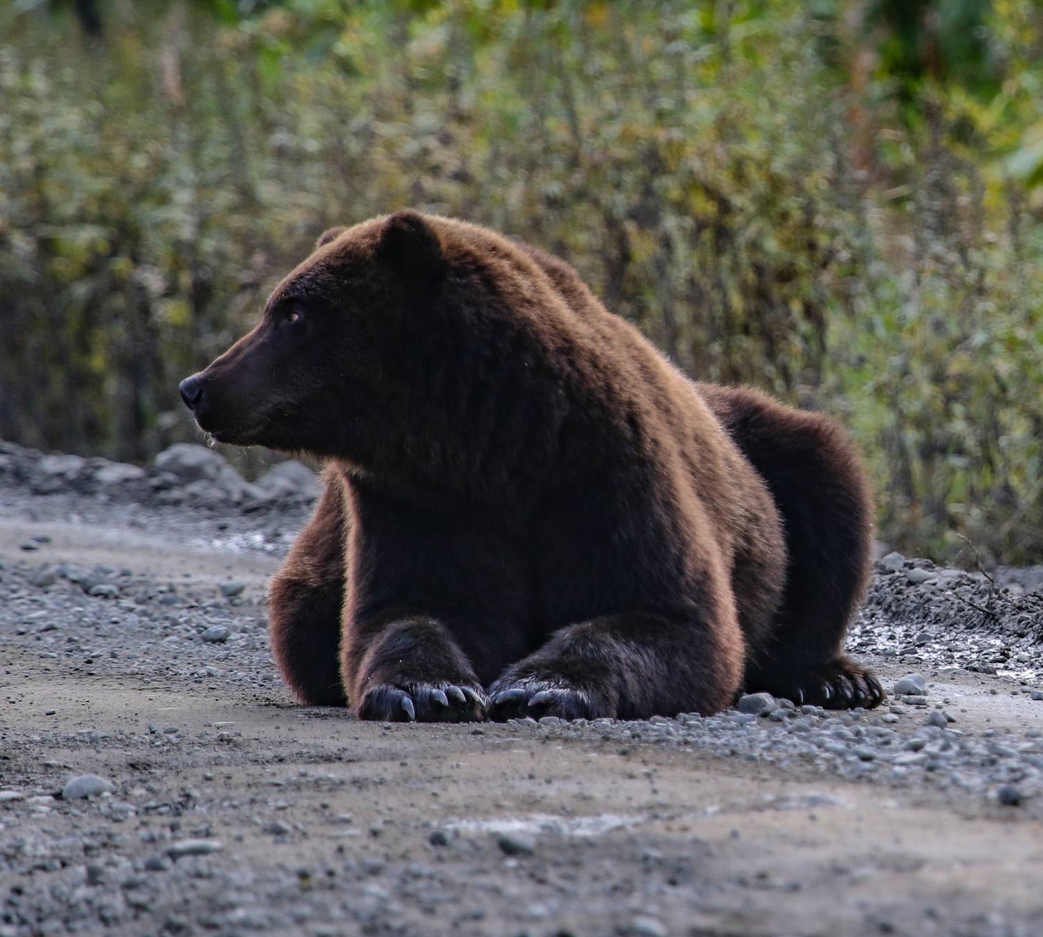 Photo #13210657