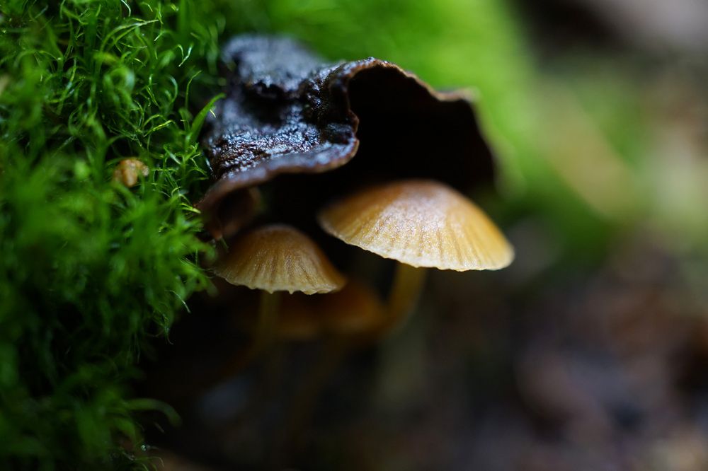 Photograph by Лена Максимкина
