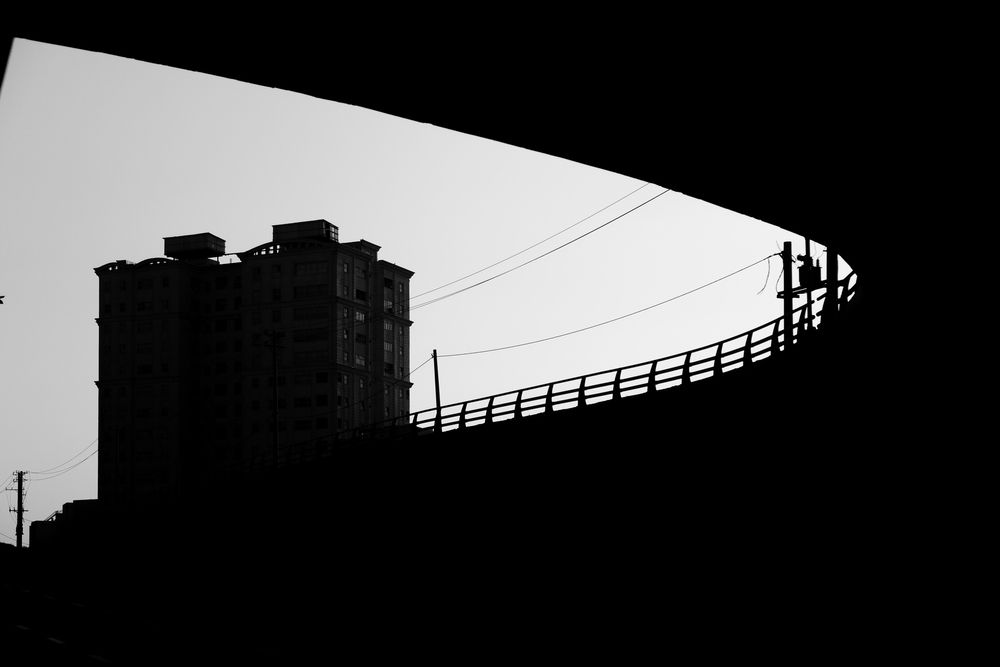 Photograph by Morteza pahang