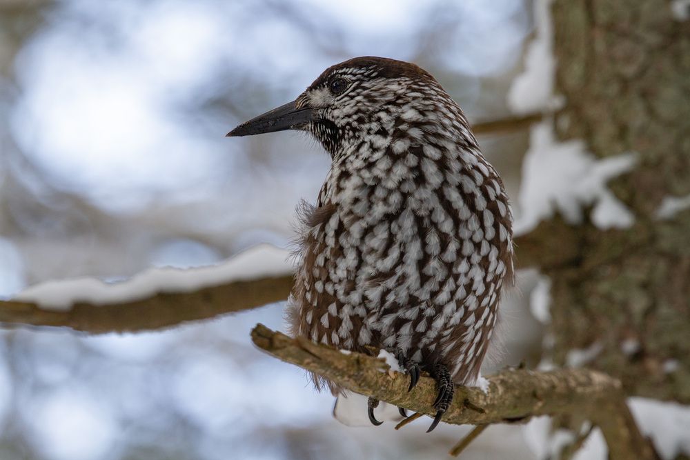 Photograph by ЕЛЕНА Рохо-Фернандес