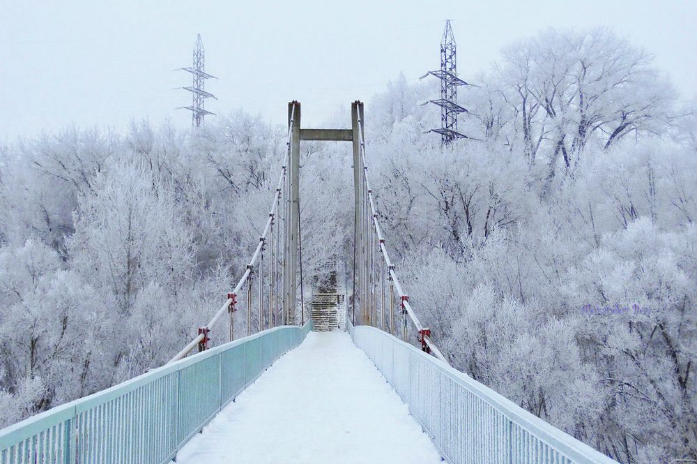 Подвесной мост зимой