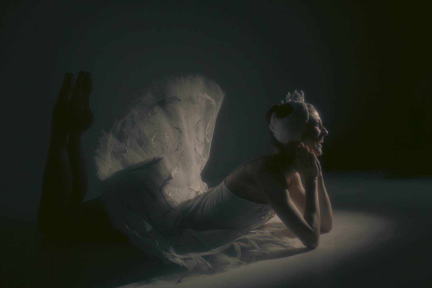 Photo #13210842