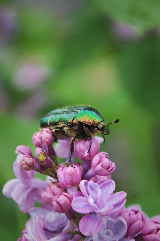 Photograph by Анна