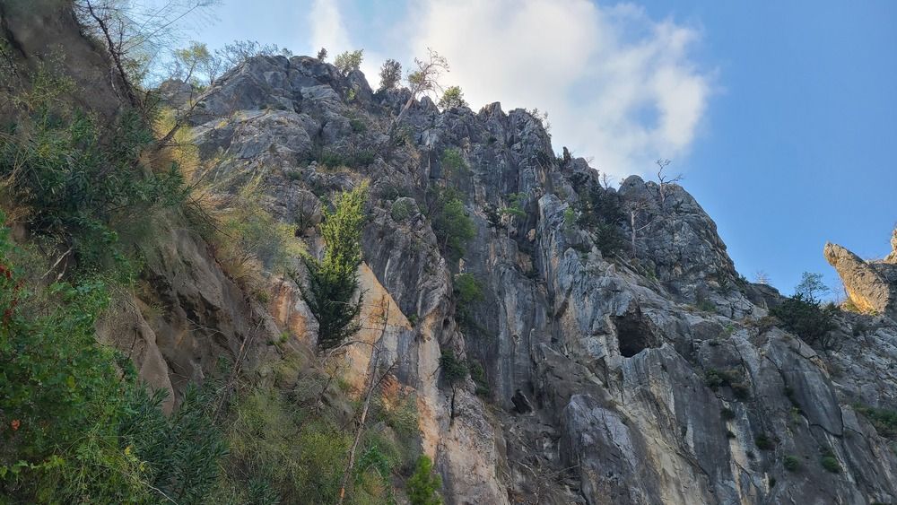Где-то в горах... // Somewhere in the maountains