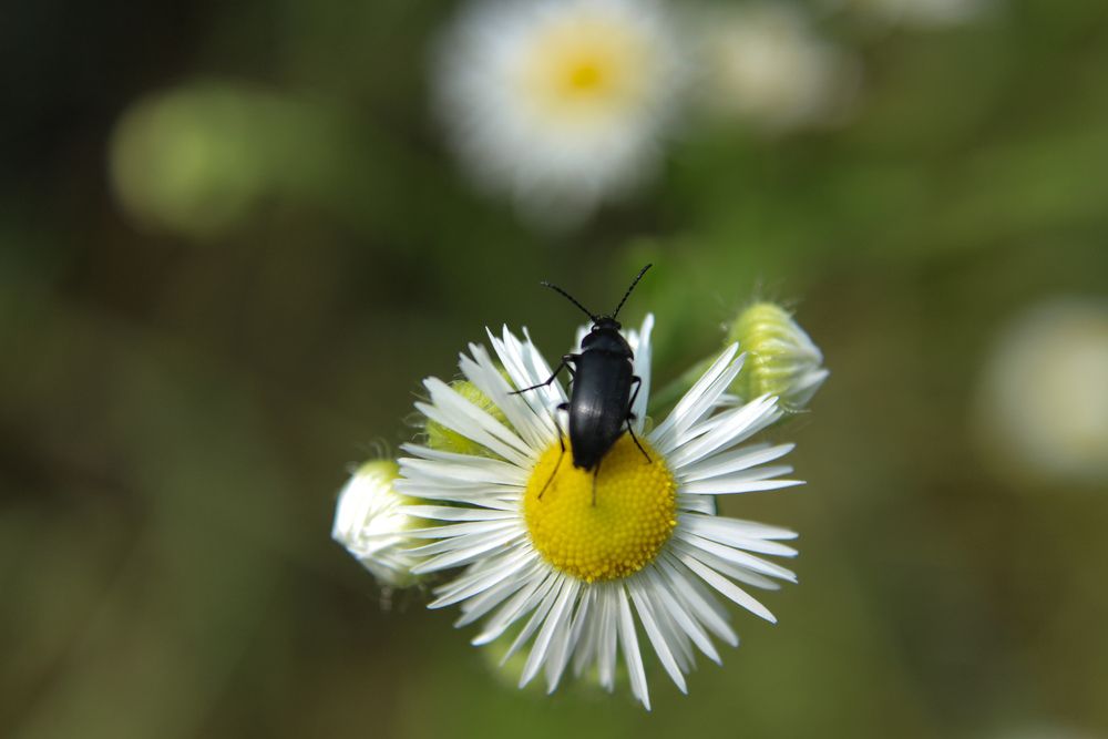 Photograph by Ирина Дмитриенко