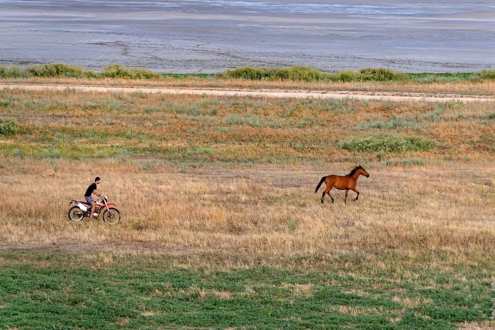 Photograph by Михаил Косолапов