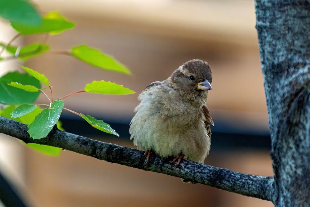 Photograph by Михаил Косолапов