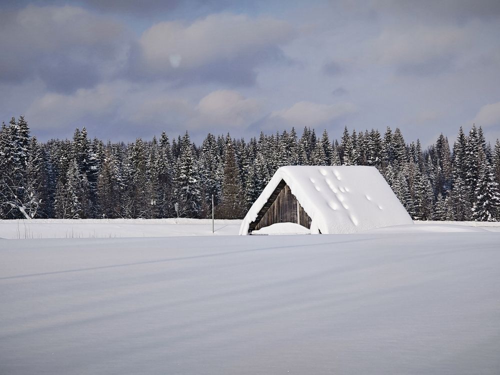 Photograph by Елена