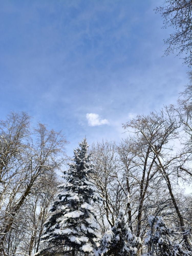 Photograph by Lena Semenova