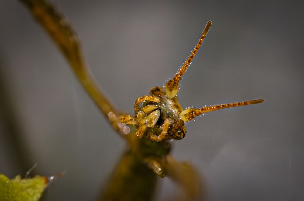 Photograph by Сергей Басов