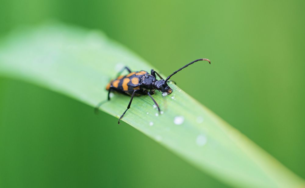 Photograph by Сергей Басов