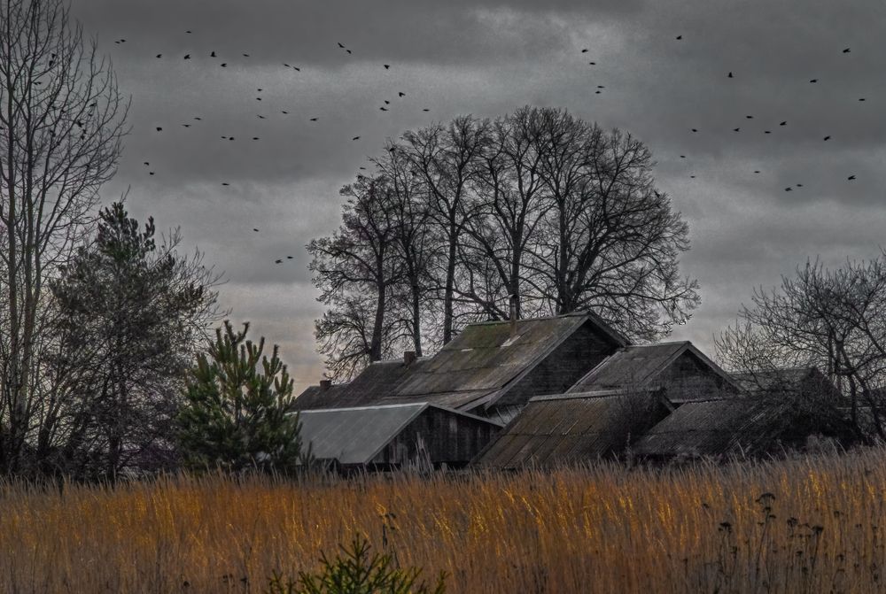 Photograph by Александр Сальников