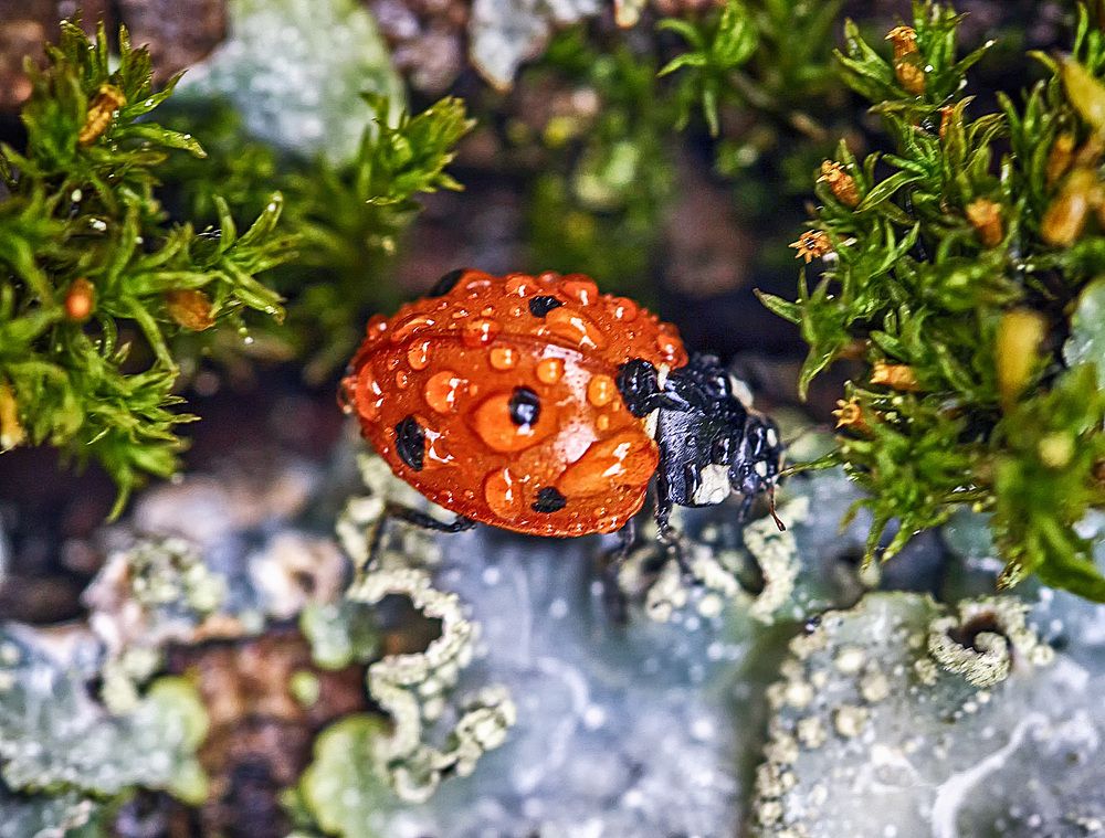 Photograph by Александр