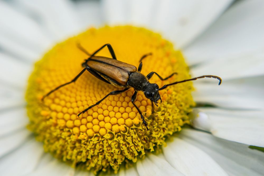 Photograph by Дмитрий Анисимов