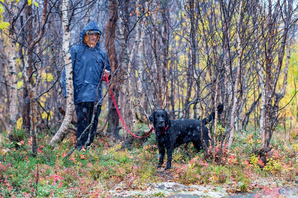 Photograph by Зоя Эль