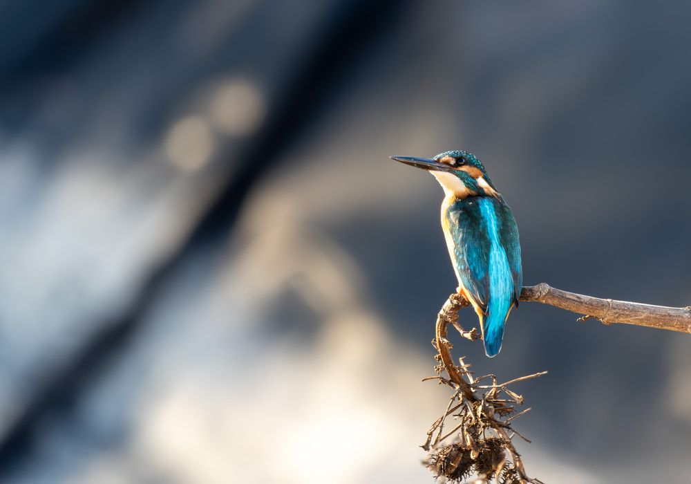 Photograph by Mohammed Alfuqaha