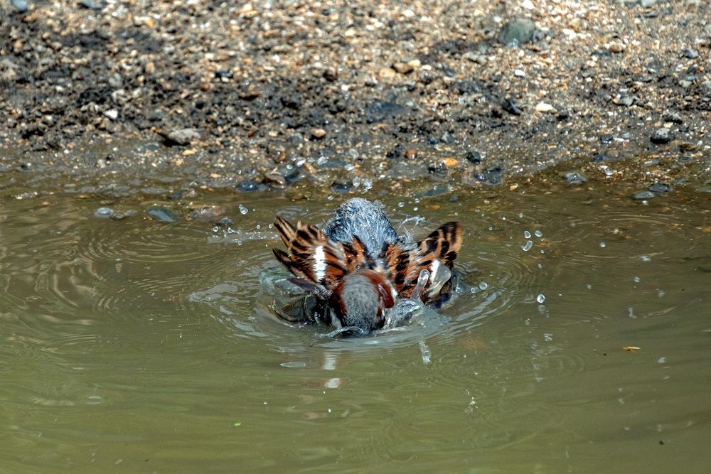 Photograph by Михаил Косолапов