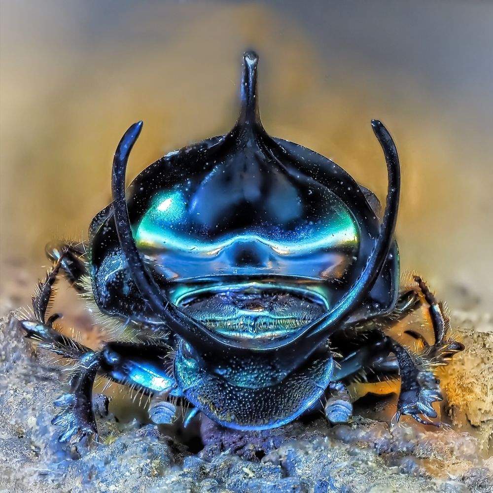 Photograph by Савчук Анатолий