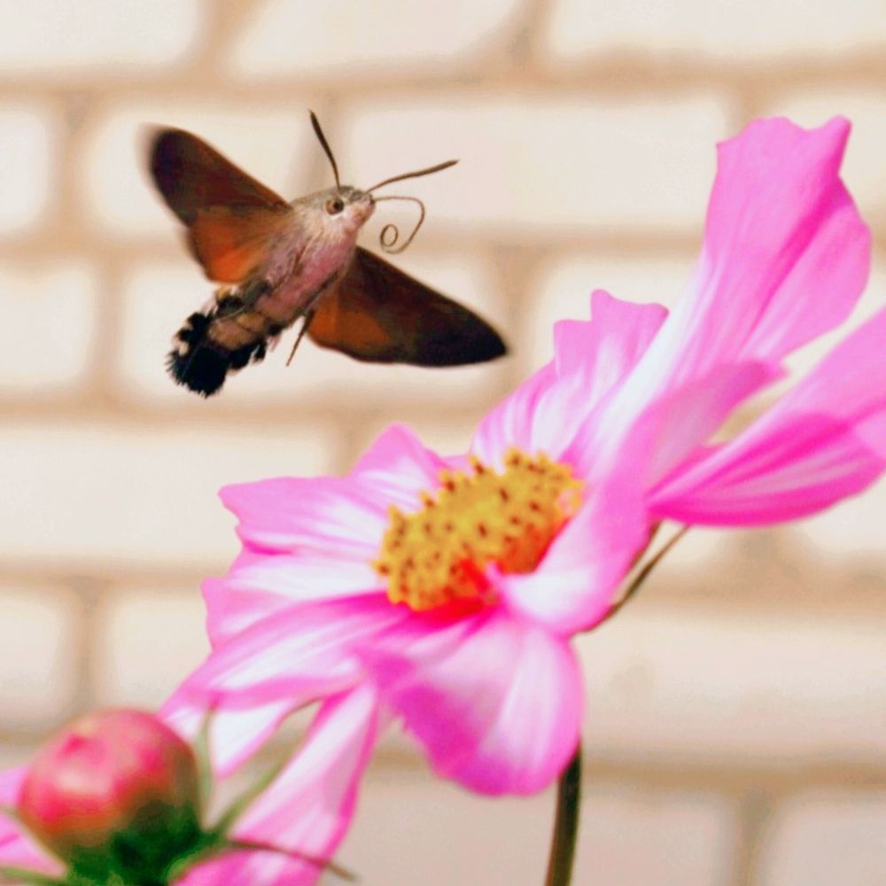 Photograph by Ульяна Кузьмина