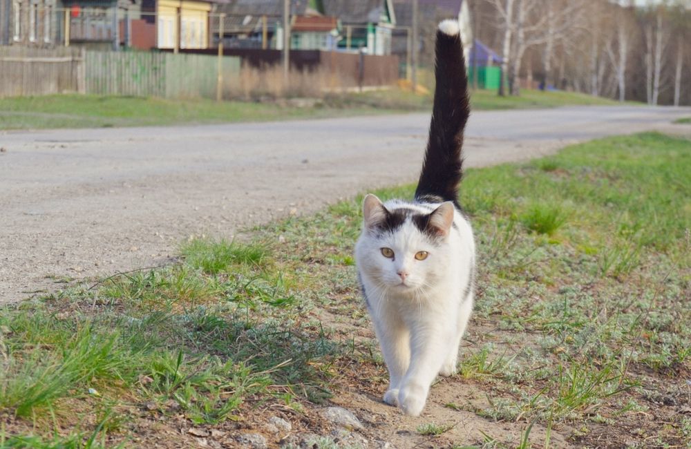 Photograph by Наталья Мыкольникова