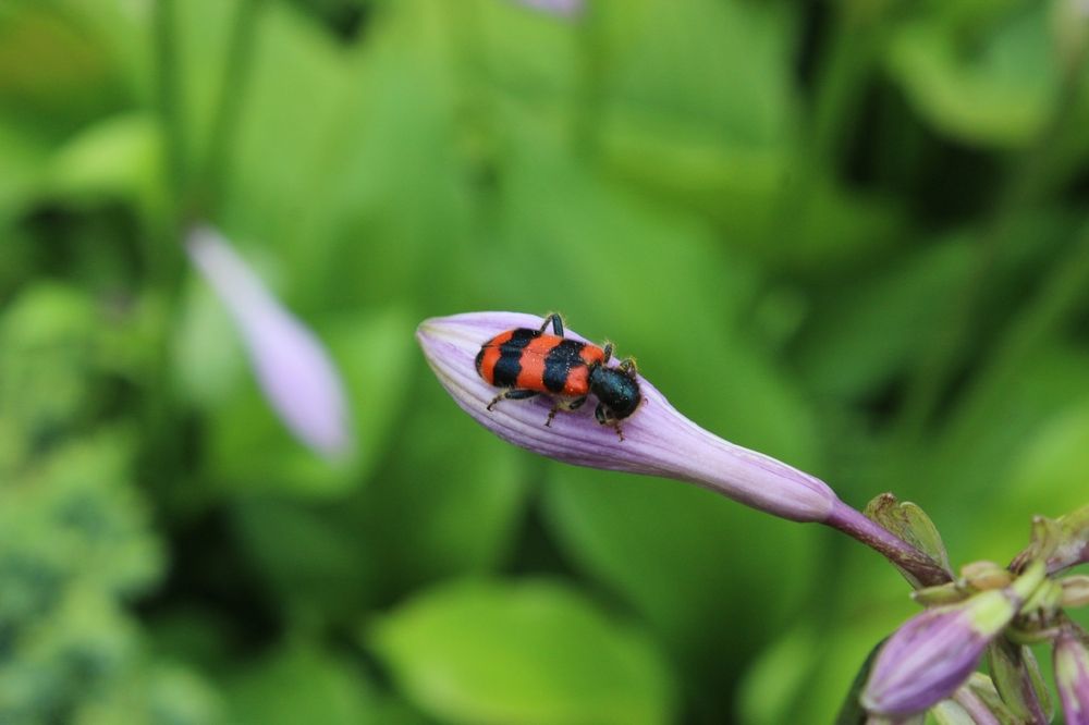 Photograph by Анна