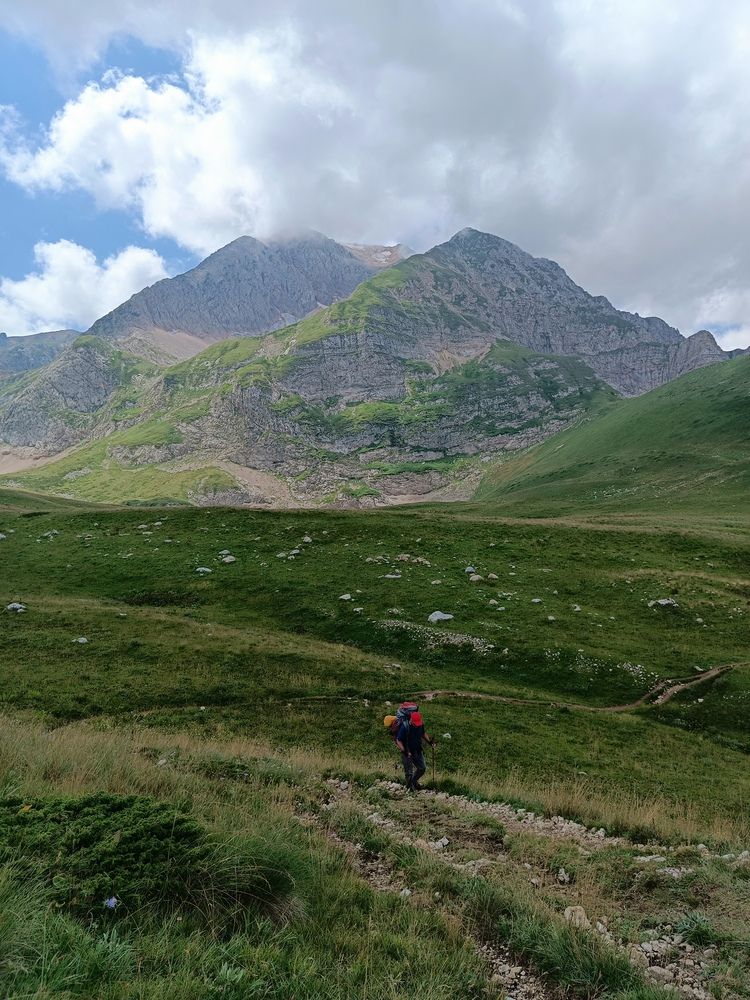 Photo #13211086