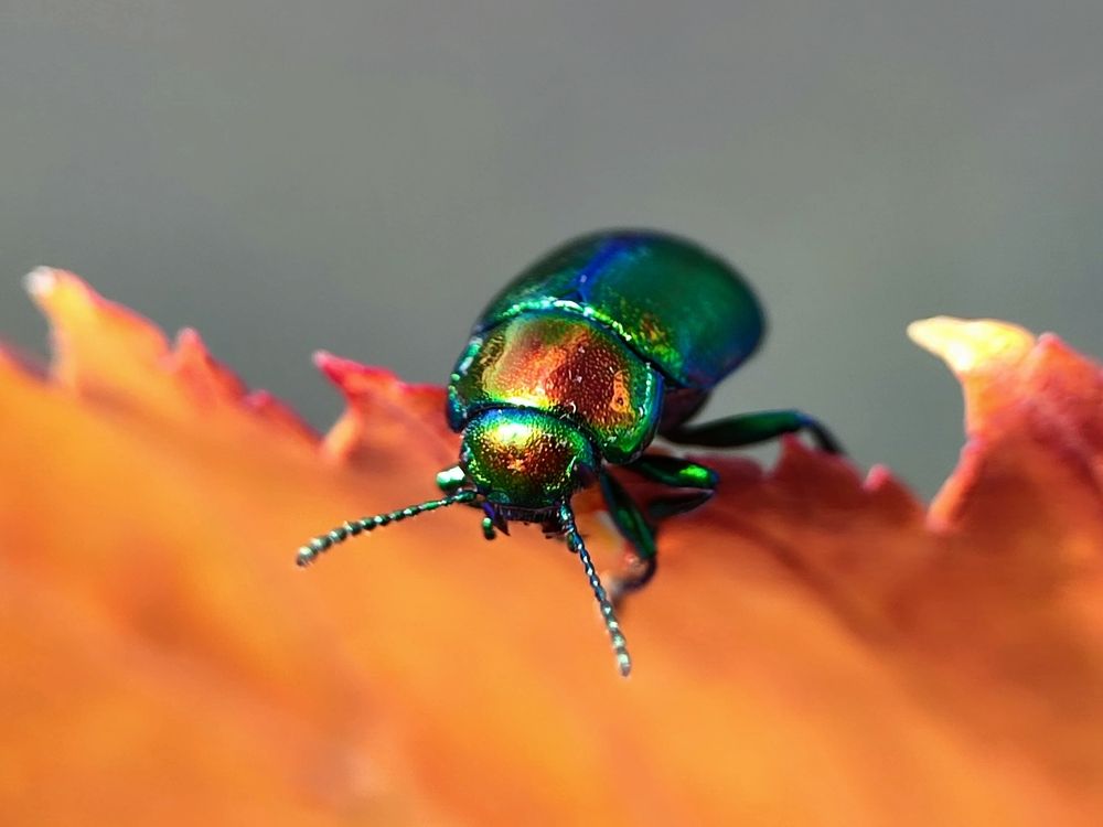 Photograph by Ирина Строкова