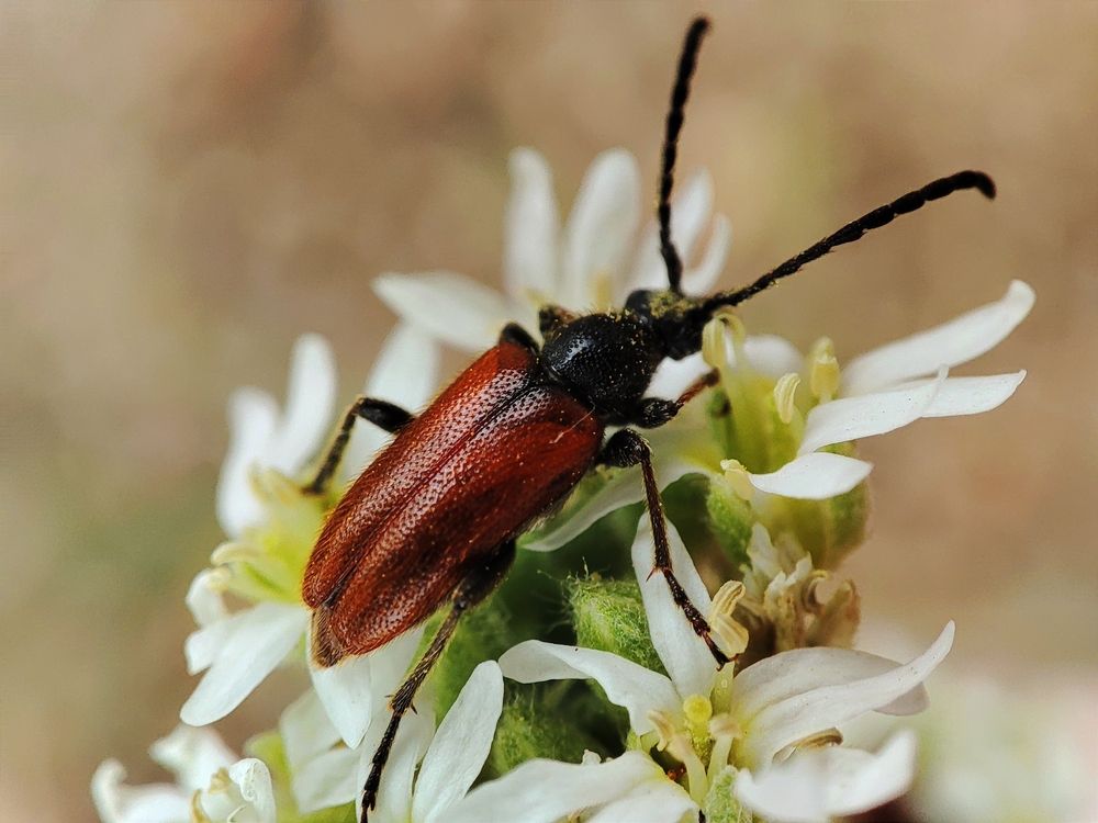 Photograph by Ирина Строкова