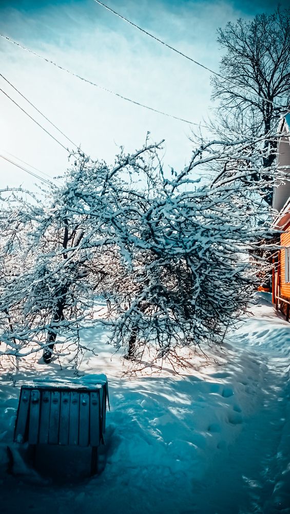 Photo #13211148