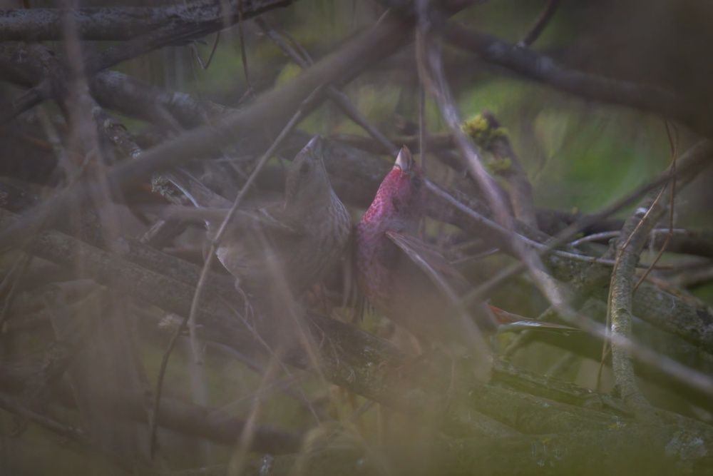 Photograph by Хабаров Сергей