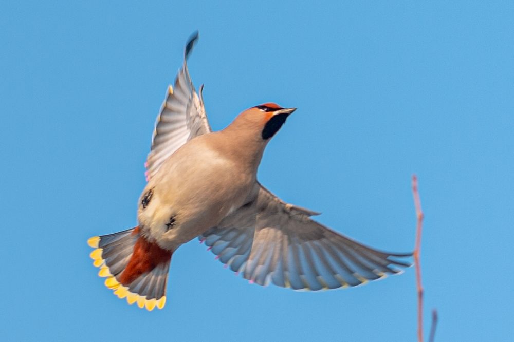 Photograph by Антон Демидов