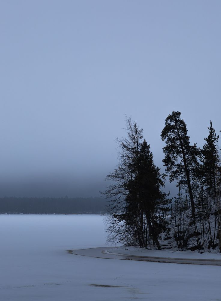 Photograph by Галчонок Ахмерова