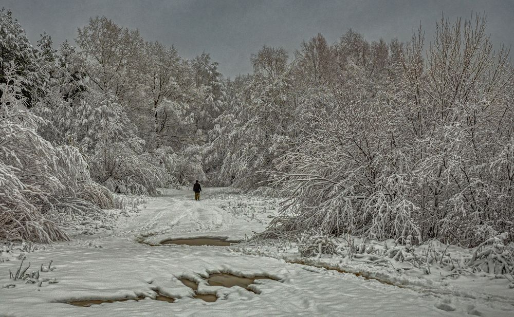 Photograph by Александр Сальников