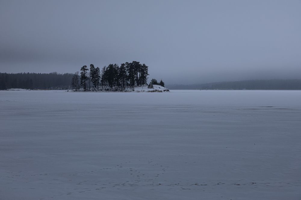 Photograph by Галчонок Ахмерова