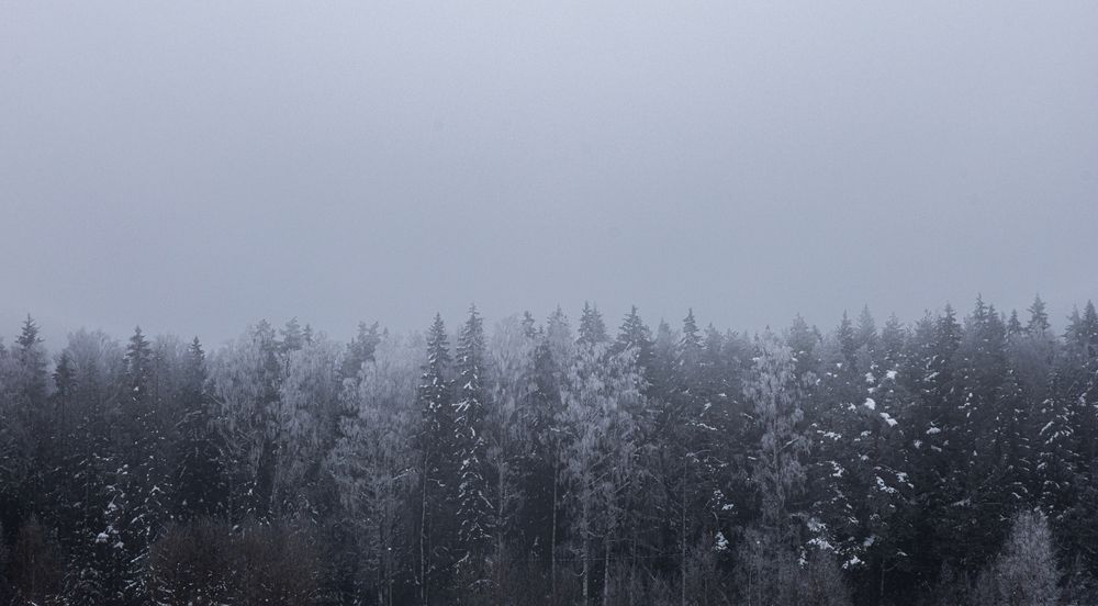 Photograph by Галчонок Ахмерова