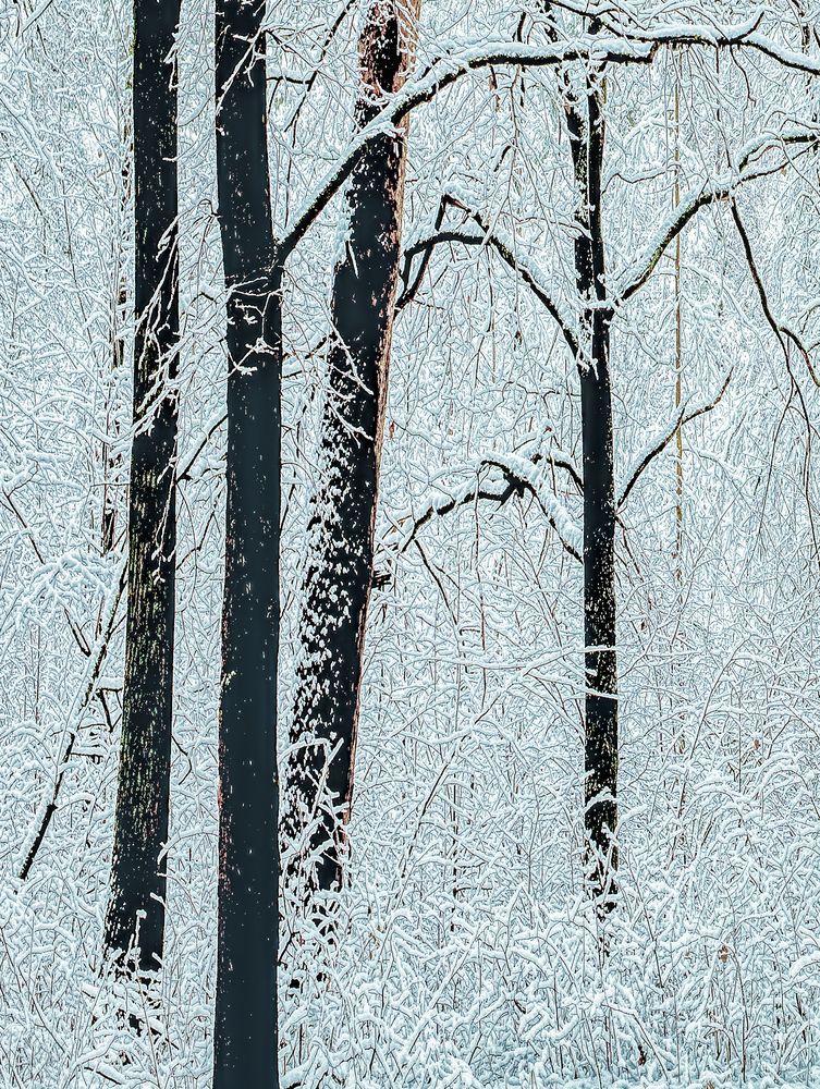 Photograph by Александр Сальников