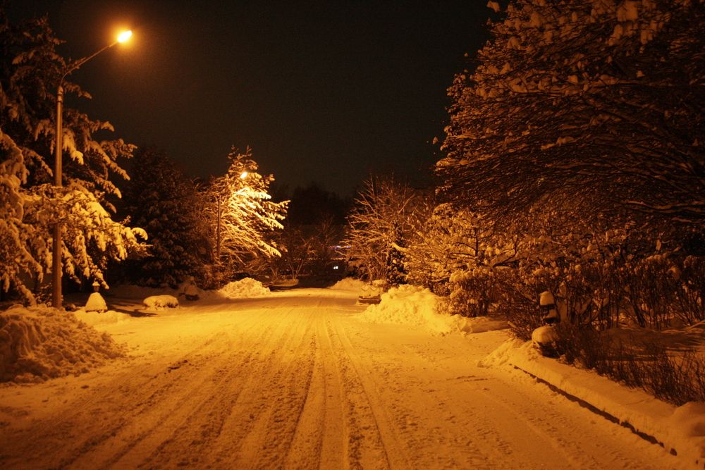 Зимняя ночь // An winter night