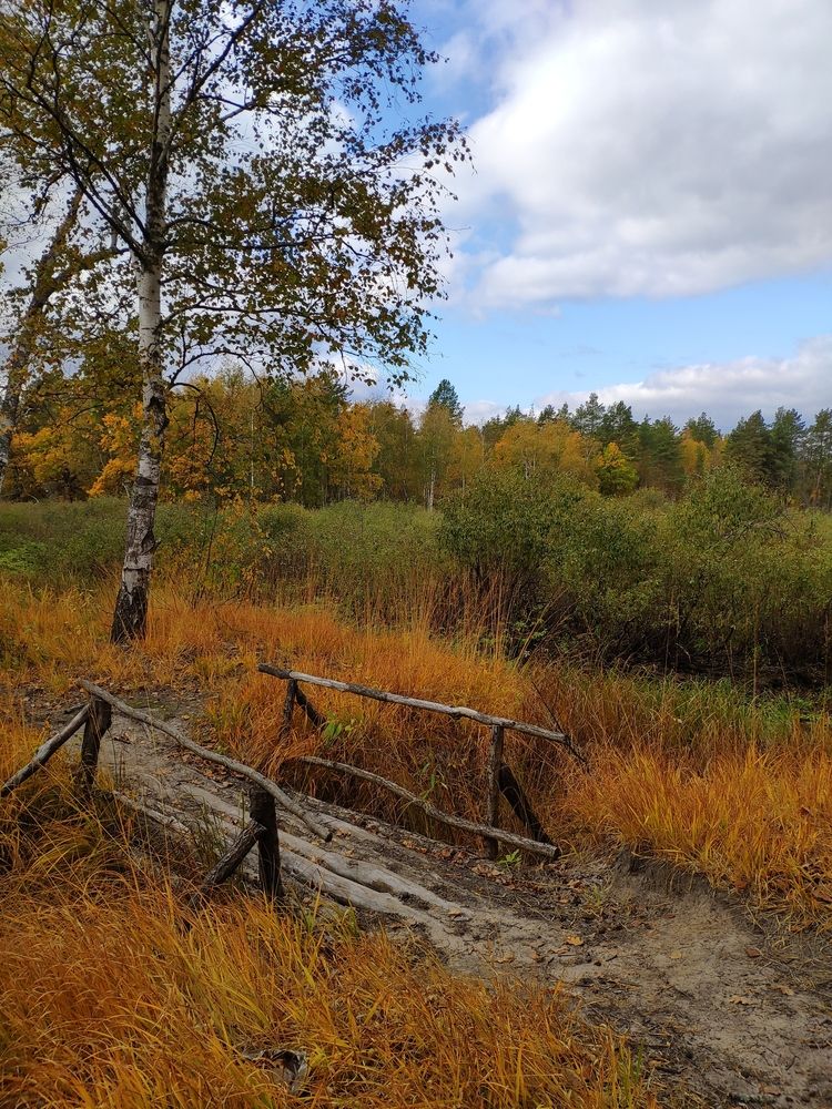 Photograph by Анастасия Кременчугская