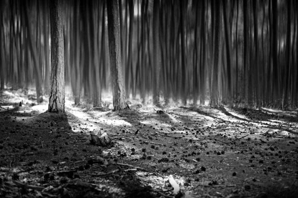 Photograph by Василий Ковалев