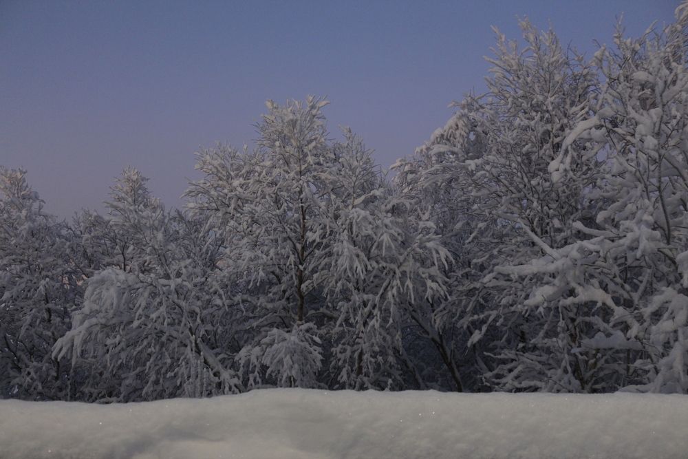 Photograph by Екатерина Иванова