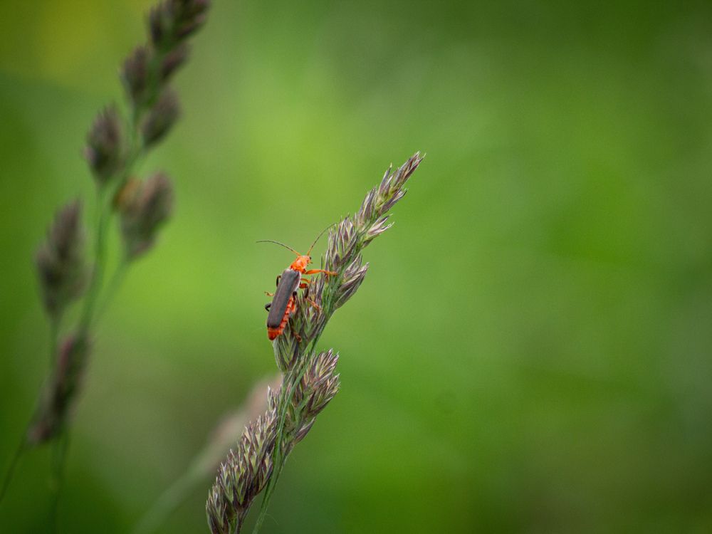 Photograph by Георгий Юркин