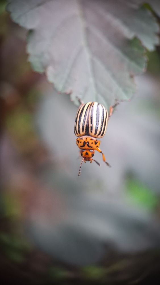 Photograph by Tatiana Kirillova