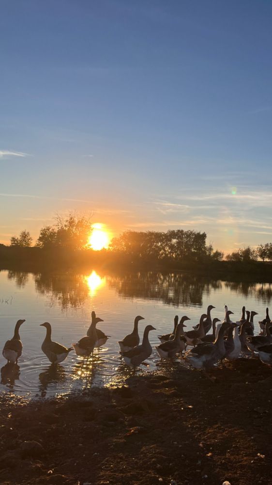 Photograph by Динара